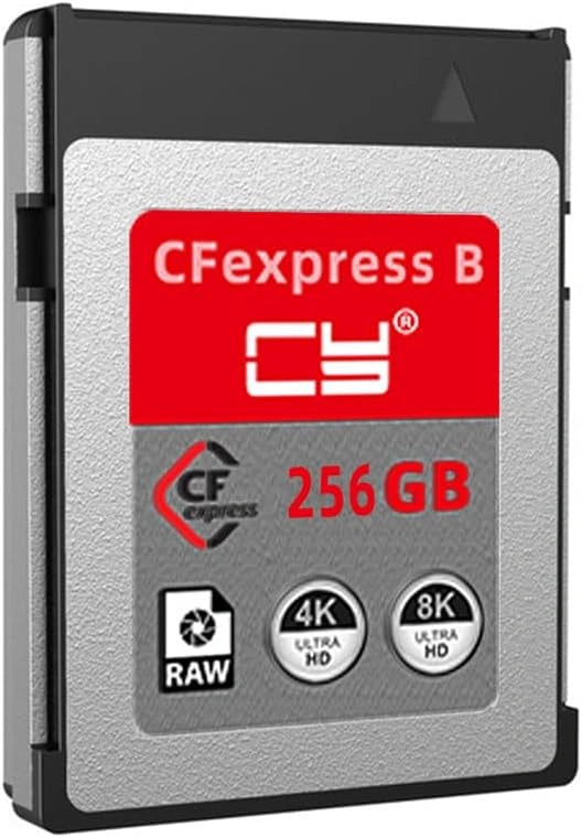 Karta pamięci Karta, 256 GB, kolor szary